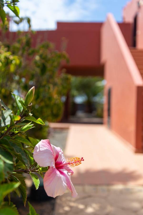 Blu Gardenia Lägenhet Corralejo Exteriör bild